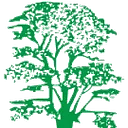 Cedarcare (SE) Ltd